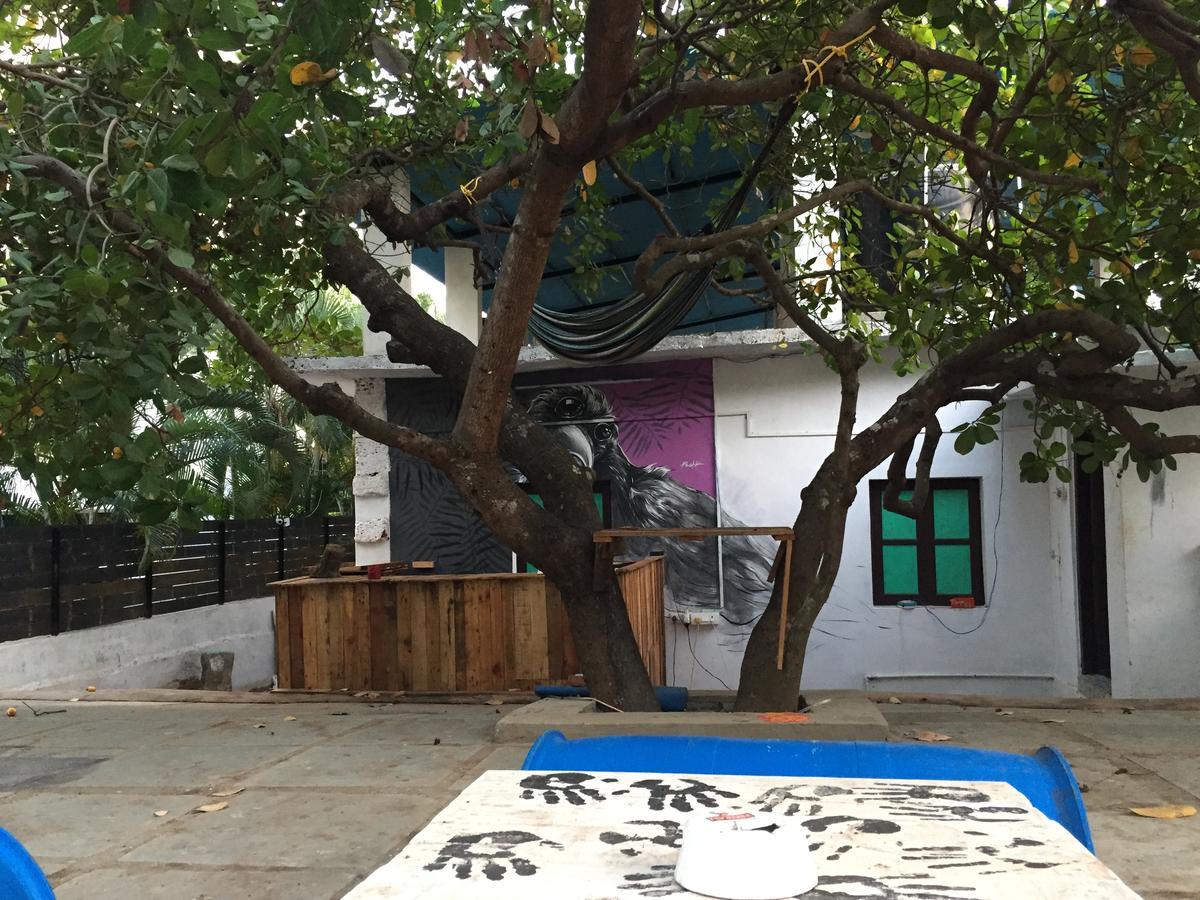 Green Rover Hostel By Gypstead Vagator Esterno foto